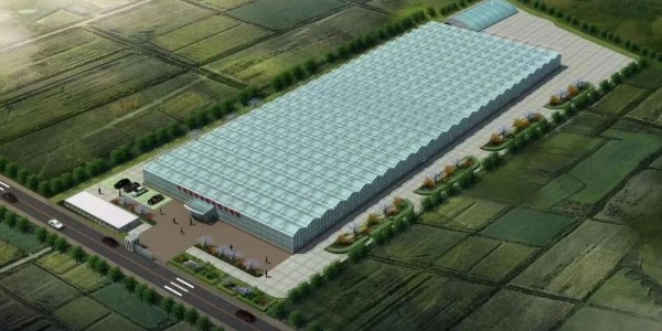 中農(nóng)美亞“碳中和”數(shù)字農(nóng)業(yè)產(chǎn)業(yè)園示范基地項目一期工程正式啟動